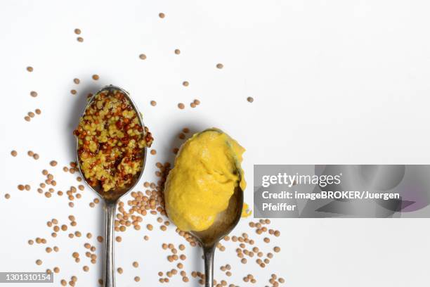 grainy and fine mustard in spoon, mustard seeds, white background, germany - mustard plant stock pictures, royalty-free photos & images