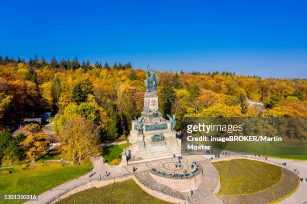 aerial view, niederwald monument in autumnal vineyards, unesco world heritage site, ruedesheim, upper middle rhine valley, hesse, germany - rudesheim stock pictures, royalty-free photos & images