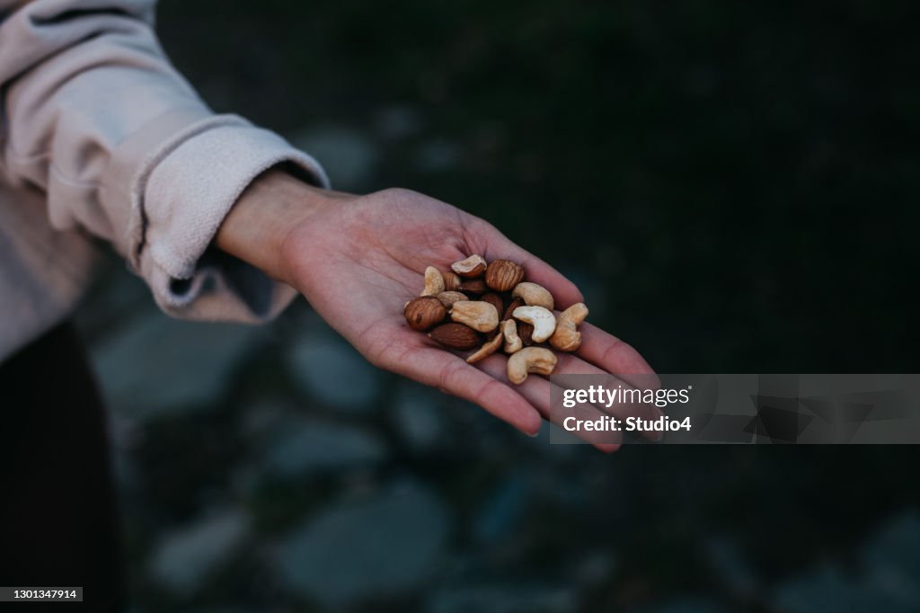 Hand voller Protein