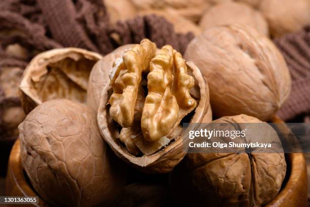 ripe dry split walnut close up - walnut fotografías e imágenes de stock