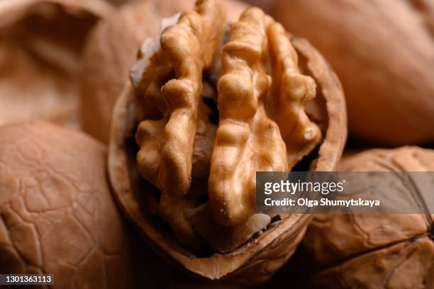 ripe dry split walnut close up - half open stock pictures, royalty-free photos & images