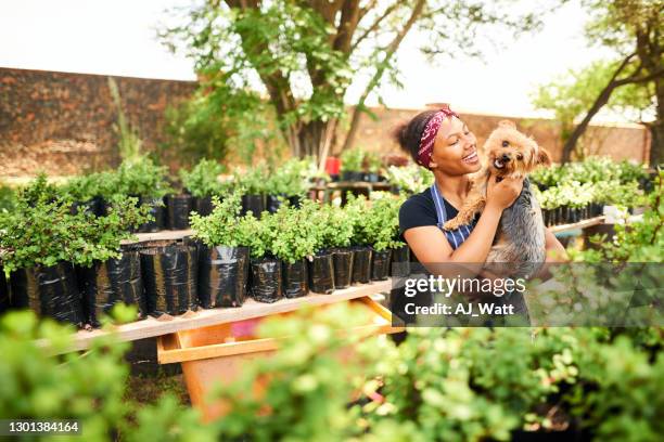 彼女の植物の保育園で彼女のかわいい犬を保持笑顔の若い女性園芸家 - green thumb 英語の慣用句 ストックフォトと画像