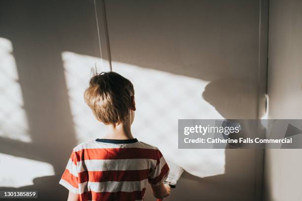 child painting a wall with white paint - pets stockfoto's en -beelden