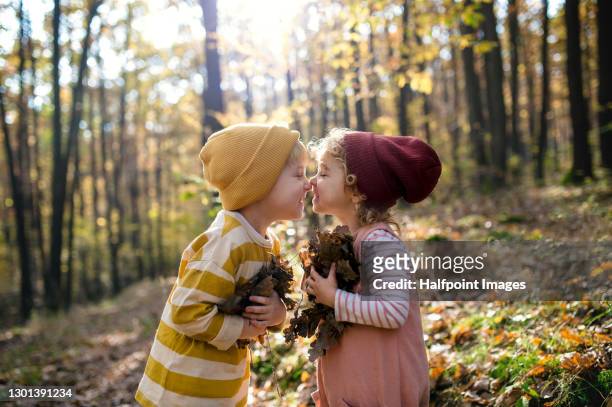 small children having holding dry leaves in autumn forest. - children only stock pictures, royalty-free photos & images