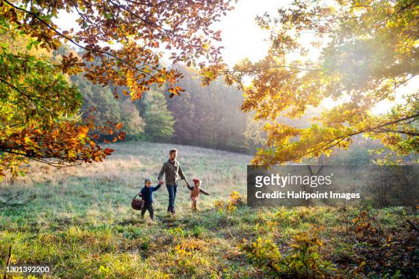 small children with father mushroom picking outdoors in autumn forest. - harvest basket stockfoto's en -beelden