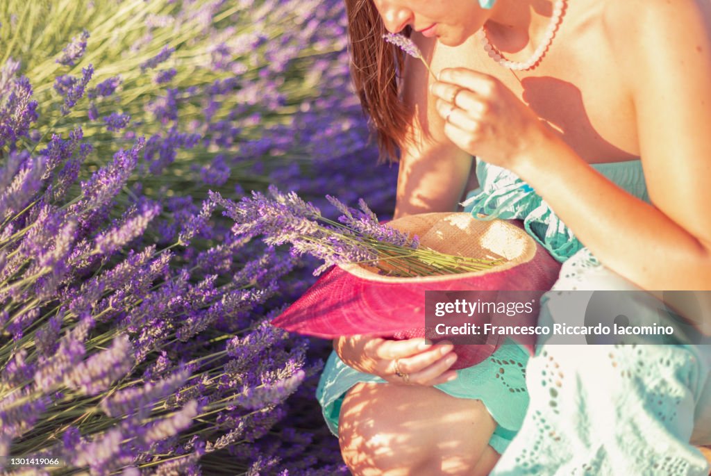 Woman smelling flowers in the fields of Valensole Plateau, lavender in bloom. Provence, Southern France.