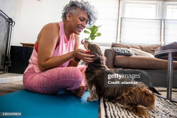 beautiful black woman doing yoga at home interrupted by her dogs - black woman yoga stock pictures, royalty-free photos & images