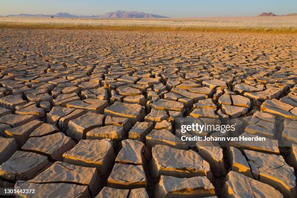 cracked mud - sequía fotografías e imágenes de stock