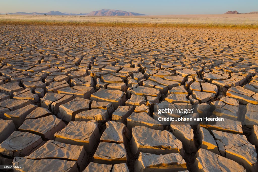 Cracked mud