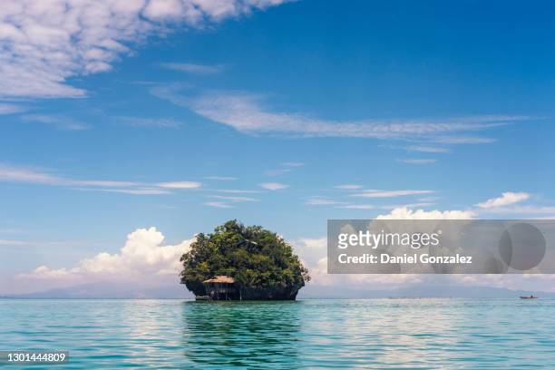 a small island with a house in the middle of the sea - flora gonzalez imagens e fotografias de stock