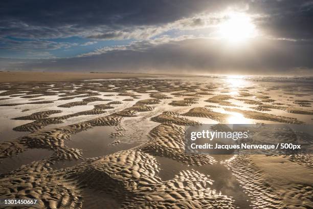 scenic view of sea against sky during sunset,norderney,germany - low tide stock pictures, royalty-free photos & images