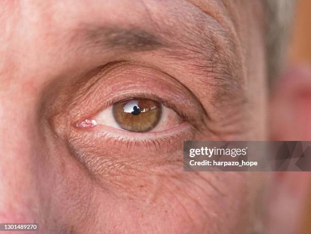 closeup of a man's eye. - augenlid stock-fotos und bilder