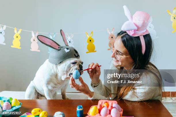 woman and dog painting easter egg - dog easter stock-fotos und bilder