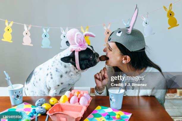 woman and dog eating an easter egg together - funny easter bildbanksfoton och bilder