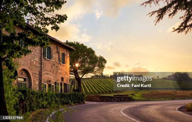 toscaans plattelandlandschap in italië - wijngaard stockfoto's en -beelden
