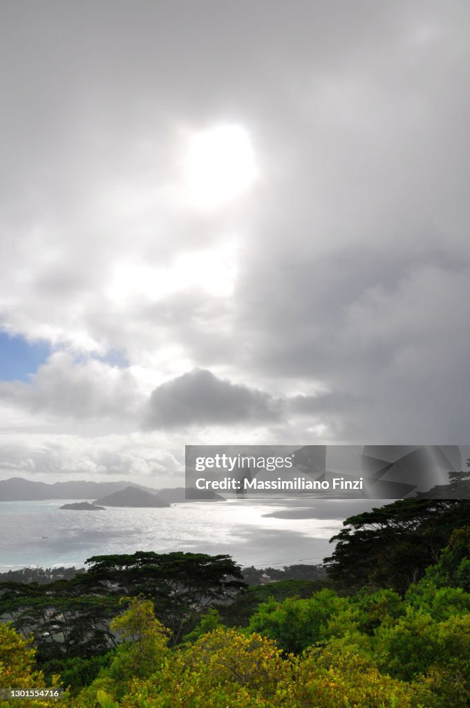 Ocean view over Praslin island with dramatic sky and the tropical Cocoplum (Chrysobalanus icaco) plant in foreground