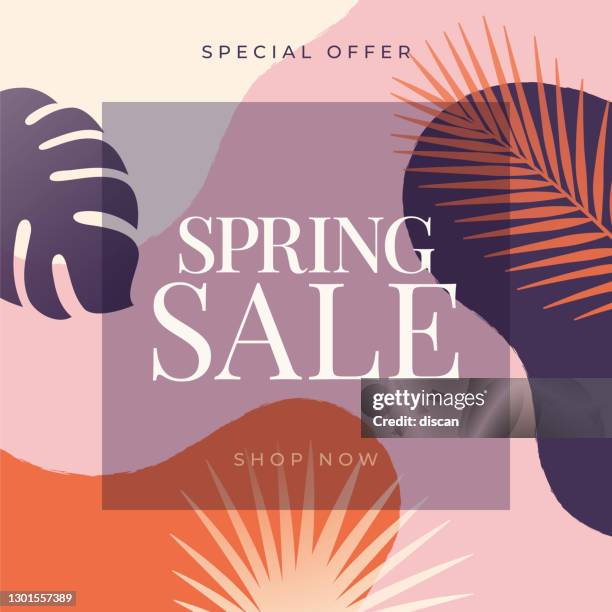 spring tropical sale banner with palm leaves and exotic plants. - summer sale stock illustrations