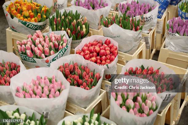 Flowers are seen at New Covent Garden Market early in the morning on February 11, 2021 in London, England. New Covent Garden market is the largest...