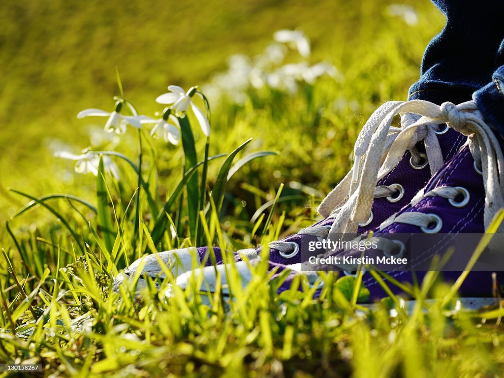 Purple shoes and snowdrops