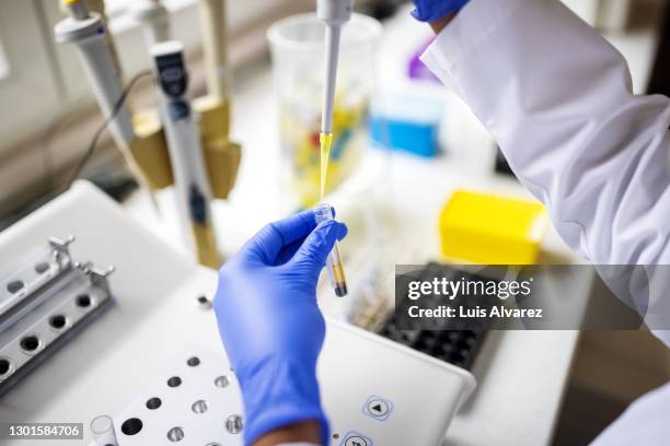 scientist testing medical sample in lab - despistagem genética imagens e fotografias de stock