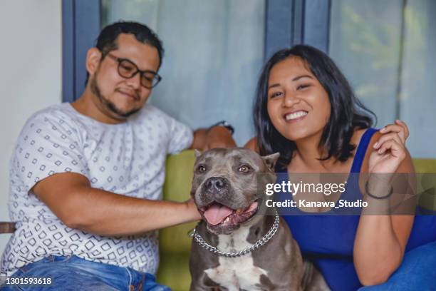 portrait of a happy latin couple sitting in the sofa with their american bulldog pet - american bulldog stock pictures, royalty-free photos & images