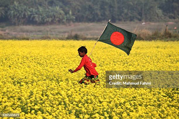 child running with flag in field - bangladesh photos et images de collection
