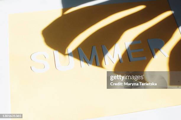 the inscription summer and the blurred shadow of a palm branch. - shell on sand isolated cut out stock pictures, royalty-free photos & images