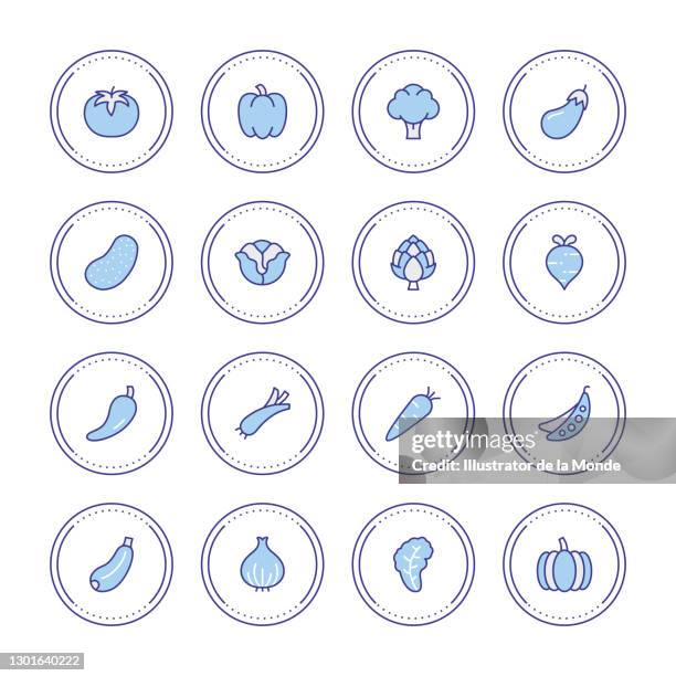 vegetable icons - cabbage isolated stock illustrations