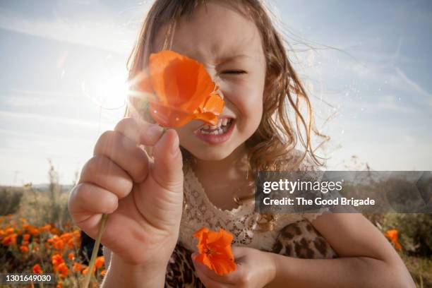 girl holding orange poppy in front of face - orange flower stock pictures, royalty-free photos & images