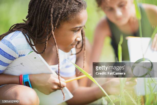 looking for bugs outdoors - child discovering science stock pictures, royalty-free photos & images