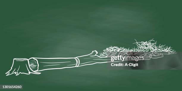 chopped down tree chalkboard - chopping down tree stock illustrations