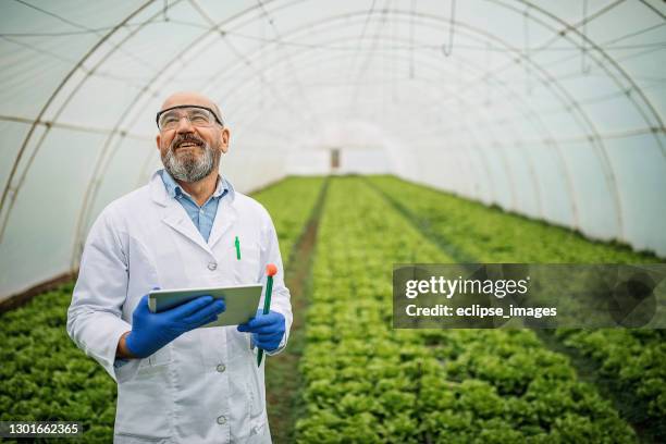 everything is fine - male scientist stock pictures, royalty-free photos & images
