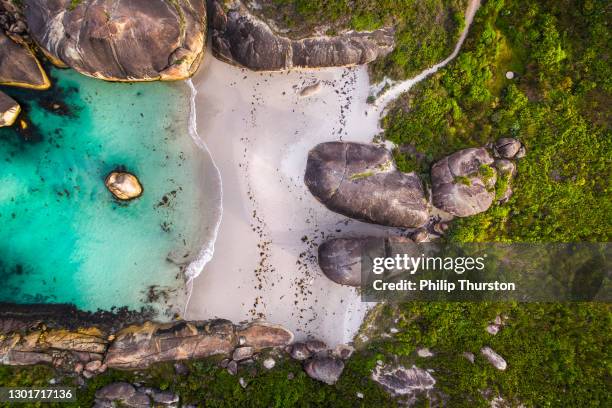 directly above perspective of elephant beach cove - beach bird's eye perspective stock pictures, royalty-free photos & images