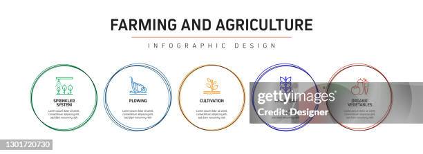 landwirtschaftliche und landwirtschaftliche prozess-infografik-vorlage. prozesszeitleistendiagramm. workflow-layout mit icons - livestock infograph stock-grafiken, -clipart, -cartoons und -symbole