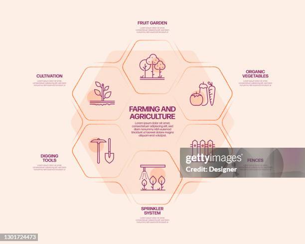 Flowchart Process Crop 884 Crop Chart Stock Photos, High-Res Pictures, and Images - Getty Images