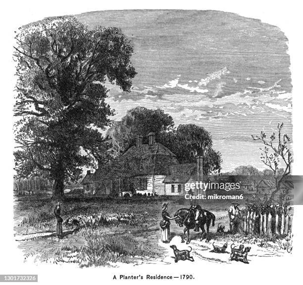 old engraved illustration of planter`s residence - 1790 - slavery in america stock pictures, royalty-free photos & images
