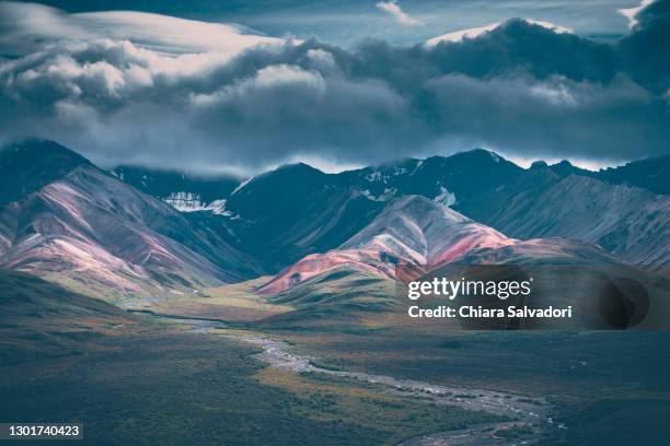 the polychrome pass in denali national park, alaska - american wilderness stock pictures, royalty-free photos & images