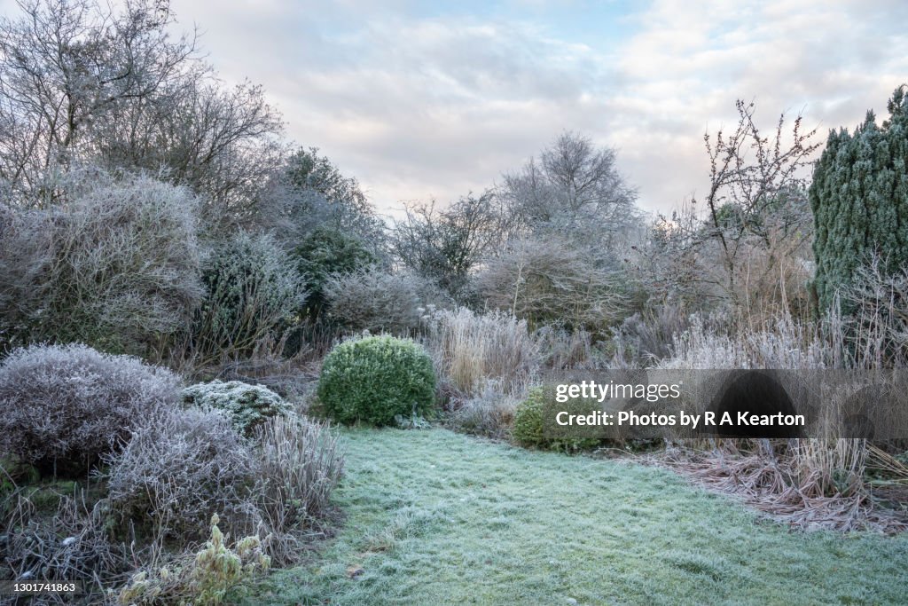 English country garden covered in frost