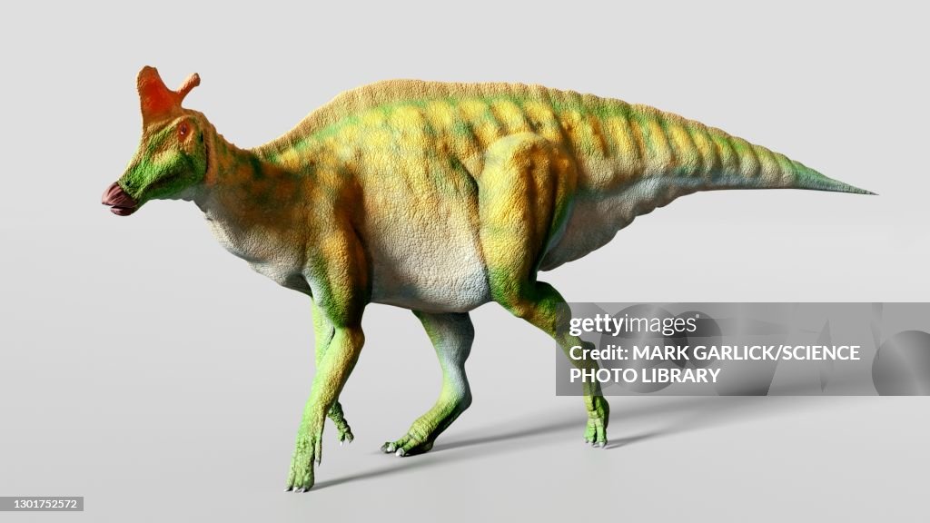 Artwork of the dinosaur Lambeosaurus