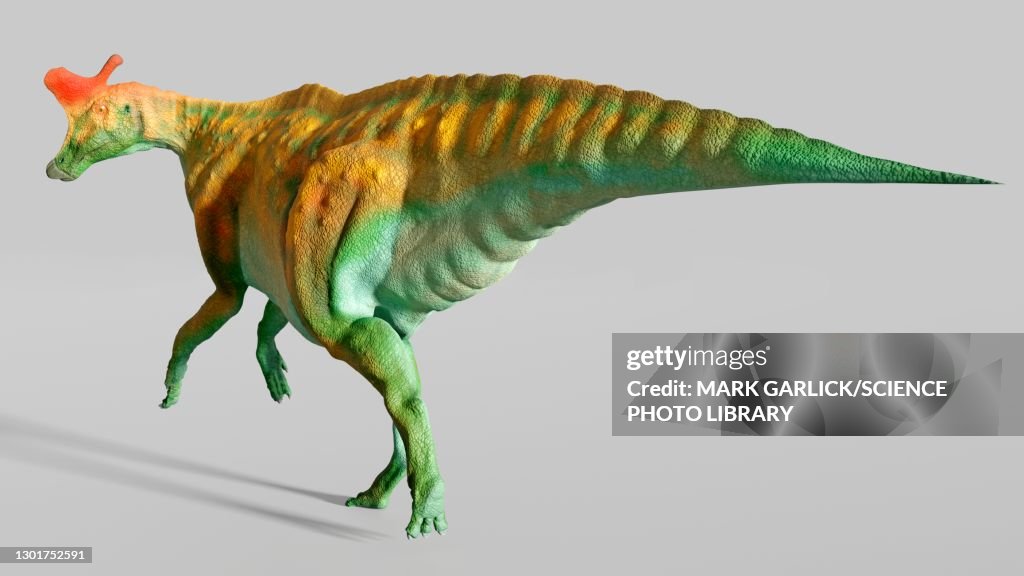 Artwork of the dinosaur Lambeosaurus