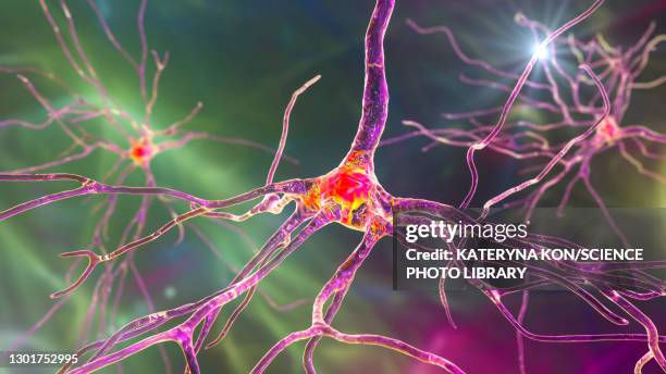 bildbanksillustrationer, clip art samt tecknat material och ikoner med human brain nerve cells, illustration - nervcell