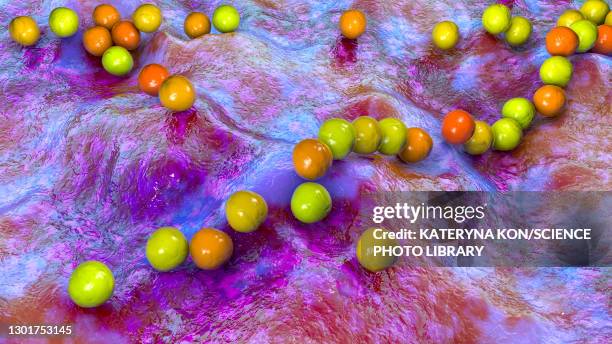 stockillustraties, clipart, cartoons en iconen met streptococcus pyogenes bacteria, illustration - streptococcus pyogenes