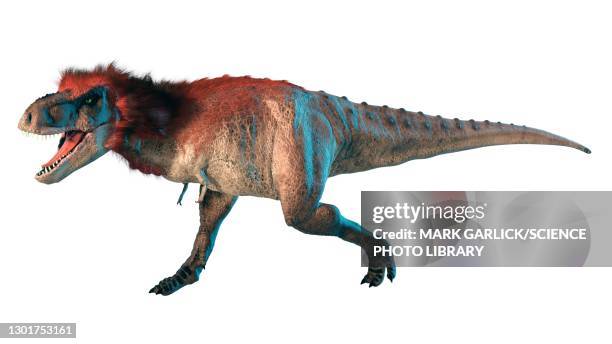 artwork of a feathered tyrannosaurus - saurischia stock-grafiken, -clipart, -cartoons und -symbole