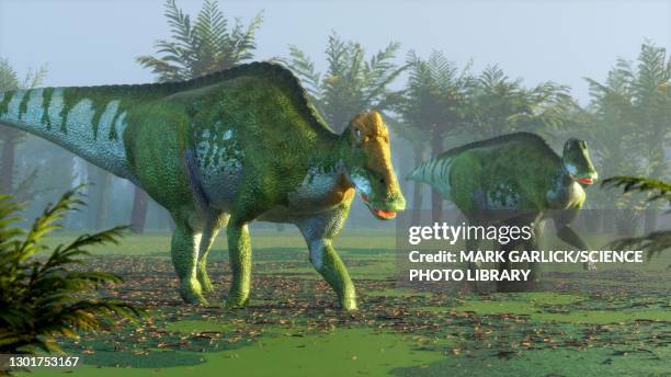 ilustrações de stock, clip art, desenhos animados e ícones de artwork of edmontosaurus - hadrossauro