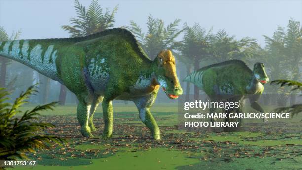 artwork of edmontosaurus - ornithopod stock illustrations