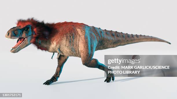 29 Tyrannosaurus Rex Feathers Stock Photos High Res Pictures And 29-tyrannosaurus-rex-feathers-stock-photos-high-res-pictures-and