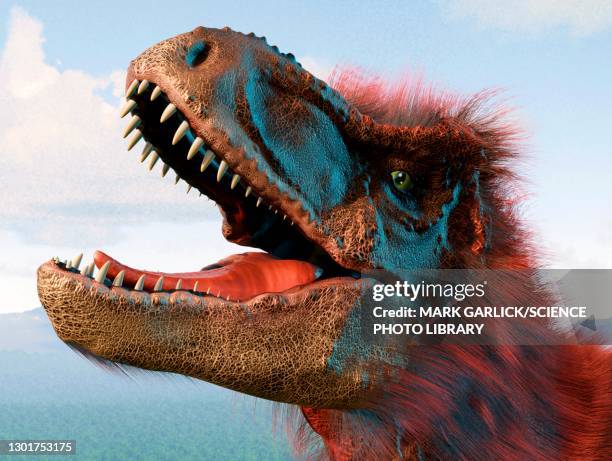 stockillustraties, clipart, cartoons en iconen met t rex head study - veer