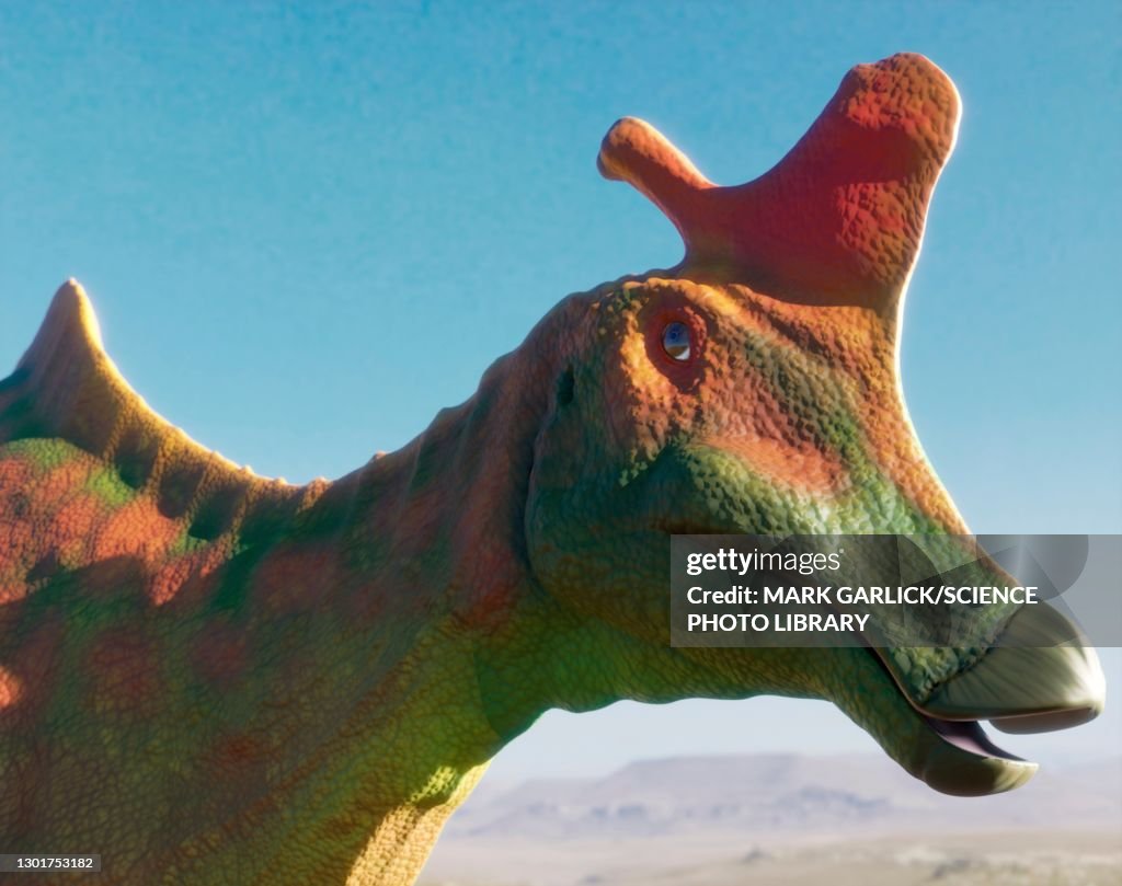 Head of the dinosaur Lambeosaurus
