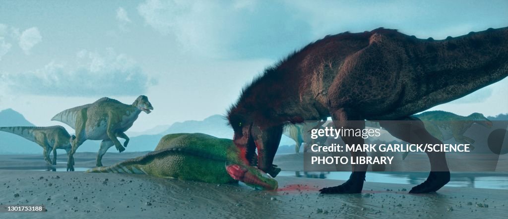 T Rex with Edmontosaurus Prey
