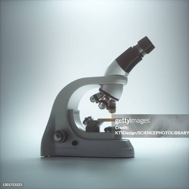 light microscope, illustration - microscope stock illustrations